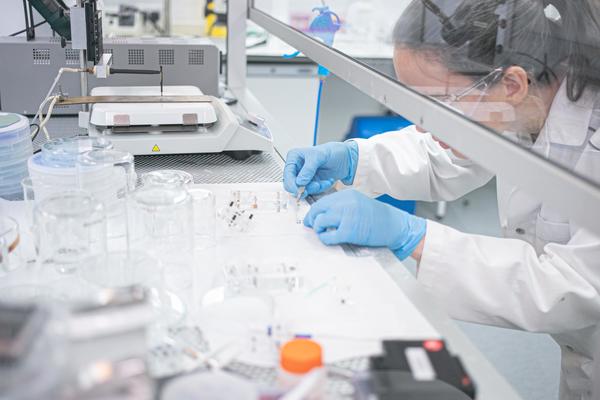 lab